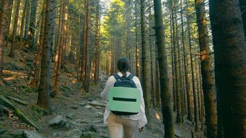 mulher viajando em uma densa floresta de fadas subindo. vista de uma mulher e a floresta por trás. mulher viajando com uma mochila na floresta escura video