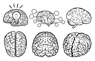Human Brain Set