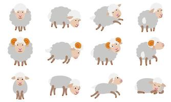 Sheep icons set, flat style vector