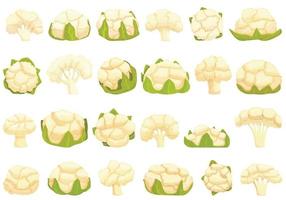 Cauliflower icons set cartoon vector. Cabbage piece vector