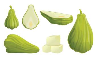 Chayote, conjunto de iconos de estilo de dibujos animados vector