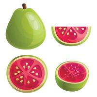 Guava icons set, cartoon style vector