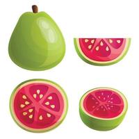 Guava icons set, cartoon style vector