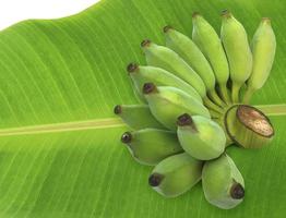 Fresh green raw banana on fresh banana leaves photo