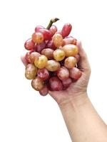 Grape fruit isolated on white background photo