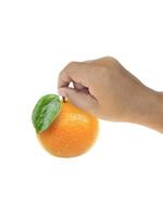 Human hand holding a of orange isolated on a white background photo