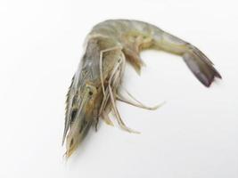 Fresh shrimp on white background close up shot.Nature fresh seafood photo