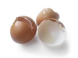 Cáscara de huevos aislado sobre un fondo blanco. foto