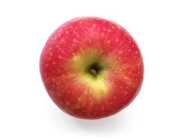 manzana aislada sobre fondo blanco foto