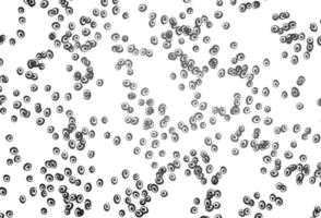 Light Silver, Gray vector pattern with spheres.