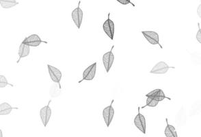 Light Silver, Gray vector sketch background.