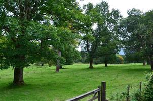 Beautiful countryside of scotland with green fields photo