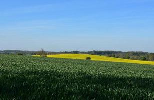 Cropland, Farms and Fields in the English Countryside photo