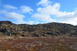 Moss Growing on Old Lava Rock in Iceland photo