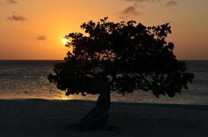 Orange Sunset in Aruba on Eagle Beach photo