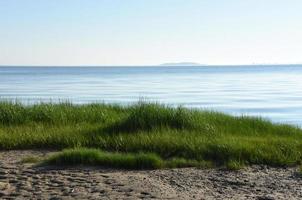 Scenic Seascape of Bay with Green Marsh Grass photo