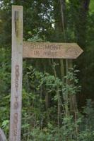 Wooden Coast to Coast Signpost Marking the Way to Grosmont photo