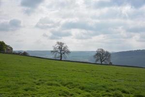 siluetas de árboles contra cielos nublados en el campo foto