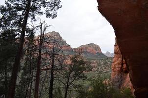 Trees Silhouetted Against Red Rock and Skies photo