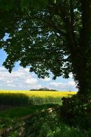 día de primavera con tierras de cultivo en West Cumbria Inglaterra foto