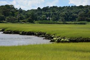 Lush Marsh Grass in the Springtime Along North River photo