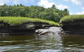 Mud Along the Banks of North River with Marsh Grass photo