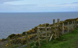 hermosas vistas del mar irlandés a lo largo de la costa de st bees foto