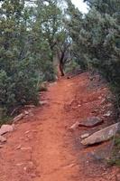 Packed Dirt Hiking Trail through Wooded Area photo