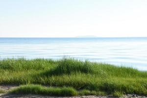 Scenic Coastline with Lush Marsh Grass on the Beach photo