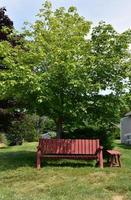 Red Wood Bench Outdoors Under A Tree on a Sunny Day photo