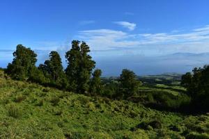 árboles que salpican el paisaje de sete cidades foto