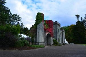 impresionante vista de las ruinas del castillo con vides rosas creciendo foto