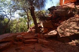 Red Rock Hiking Steps in Sedona Arizona photo