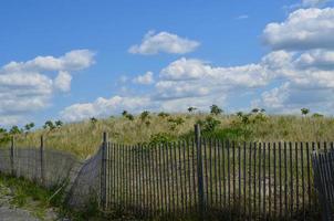 Dunes and Beach Fence on a Perfect Day photo