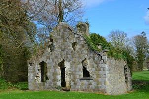 Historic Stone Ruins in Adare Ireland in the Spring photo