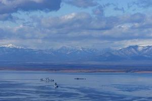 Avacha Bay with warships and a submarine. Kamchatka photo