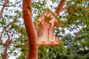 Landscape with bird feeders on the trees photo