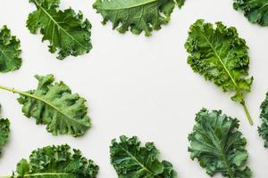 Top view of kale leaves on white background. photo