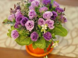 Purple rose on the table photo