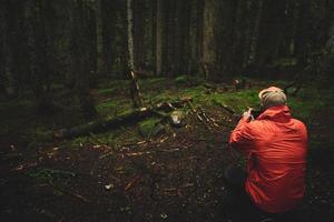 Person take smartphone mobile photo of moody dark forest in Racha region Georgia from low angle outdoors