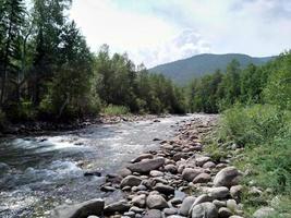 Summer landscape with forest and river. photo