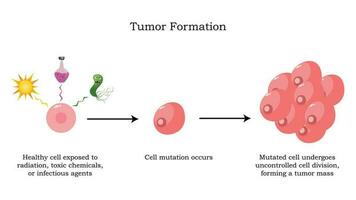 mutation of cells into tumors vector