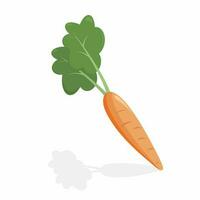 Carrot cartoon vector illustration