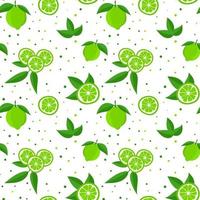 Lime with green leaves, citrus slice on white background. Seamless pattern.tropical pattern vector