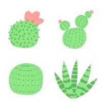 Set of vector illustrations with flat cactus bright colors. Cacti with flowers. Lovely houseplants