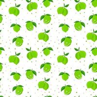 Lime with green leaves, citrus slice on white background. Seamless pattern.tropical pattern vector