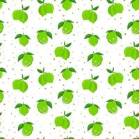 Lime with green leaves, citrus slice on white background. Seamless pattern.tropical pattern vector