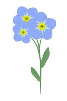 Single forget-me-not flower vector