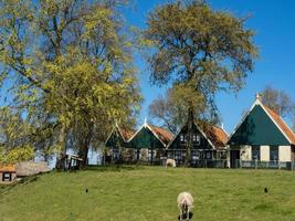 enkhuizen in the netherlands photo