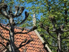 Enkhuizen in the netherlands photo